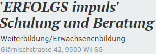 Cleandevil Fensterreinigung für Erfolgs impuls